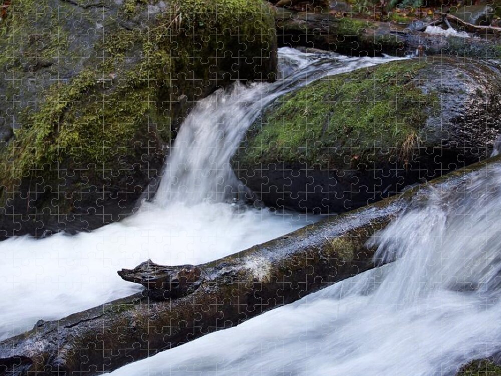 Mccord Log Motion Jigsaw Puzzle featuring the photograph McCord Log Motion by Dylan Punke