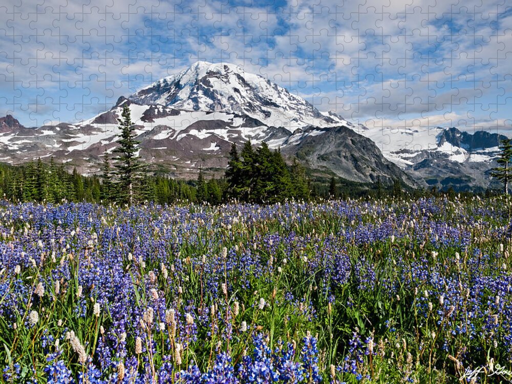 Alpine Jigsaw Puzzle featuring the photograph Meadow of Lupine Near Mount Rainier by Jeff Goulden