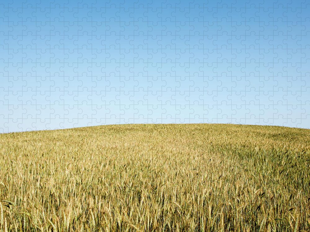 Nature Landscape Jigsaw Puzzle featuring the photograph Nature landscape background by Michalakis Ppalis