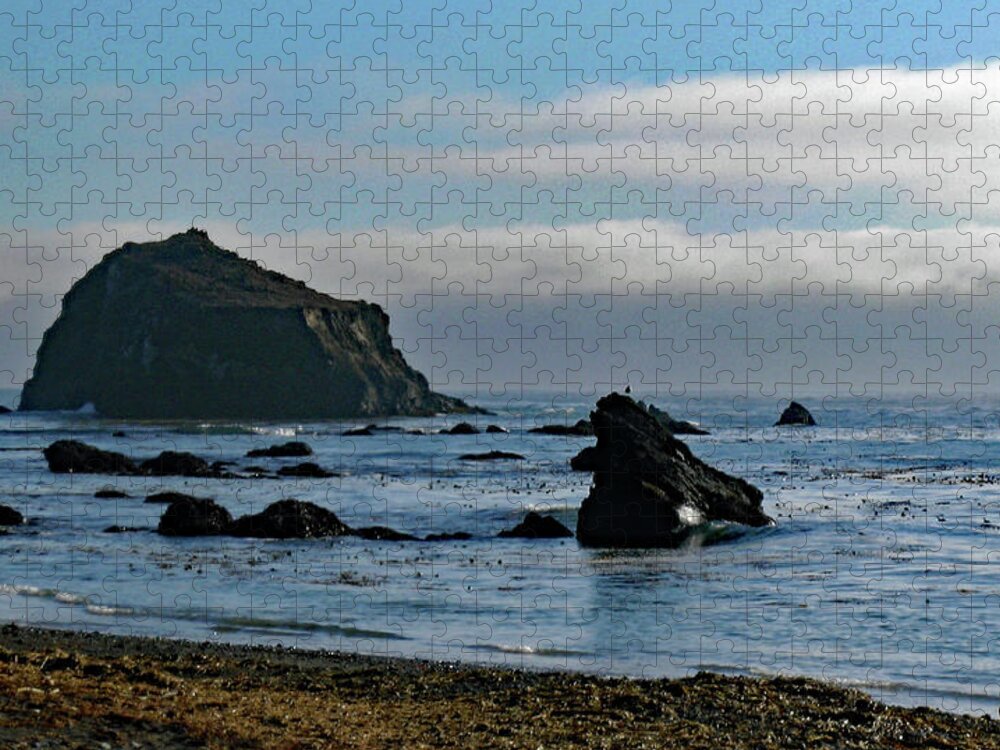 Mendocino Coast Jigsaw Puzzle featuring the photograph Mendocino Coast No. 1 by Sandy Taylor