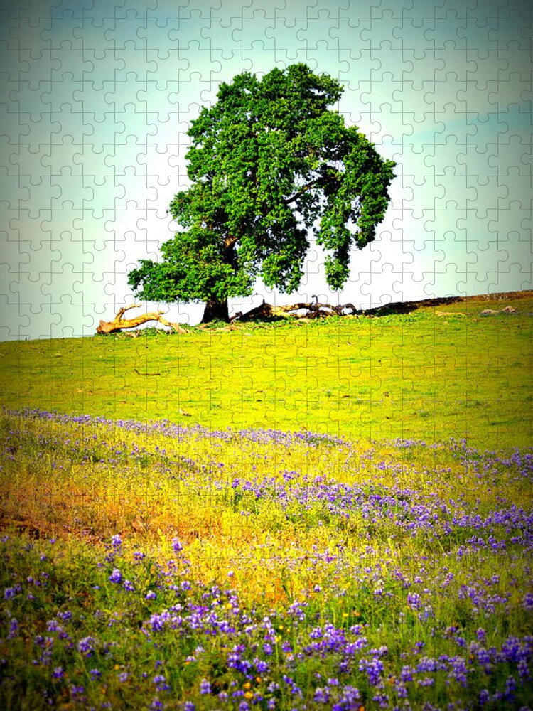 Table Mountain Jigsaw Puzzle featuring the photograph Mesa Oak in Spring by Pamela Patch