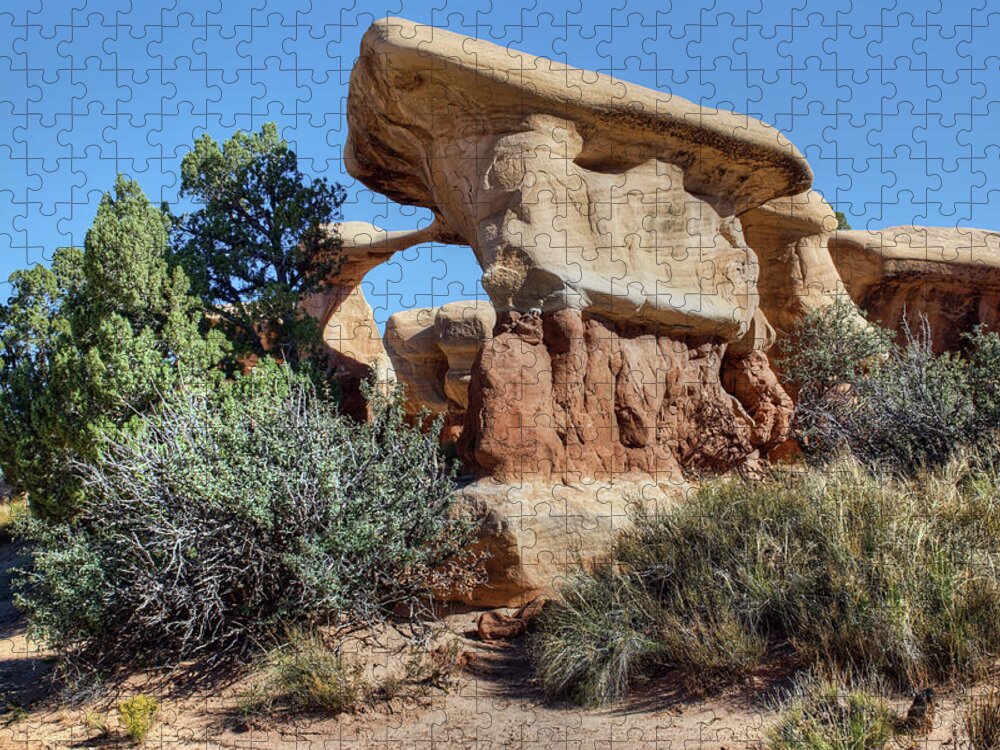 Utah Jigsaw Puzzle featuring the photograph Metate Arch - Devils Garden by Nikolyn McDonald