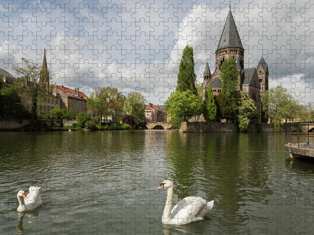Metz Jigsaw Puzzle featuring the photograph Metz Swan and Goose by John Daly