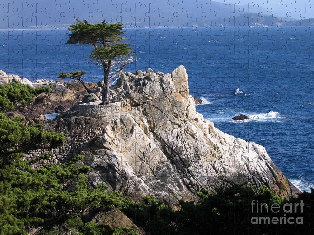 Lone Cypress Jigsaw Puzzle featuring the photograph Midway Point by James B Toy