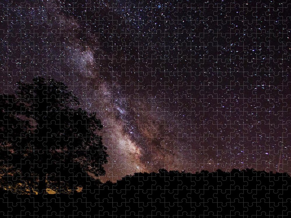 Milky Way Jigsaw Puzzle featuring the photograph Milky Way and the Tree by Eilish Palmer