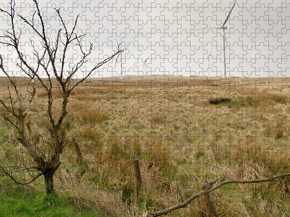 Miller's Moss Jigsaw Puzzle featuring the photograph Miller's moss. by Elena Perelman