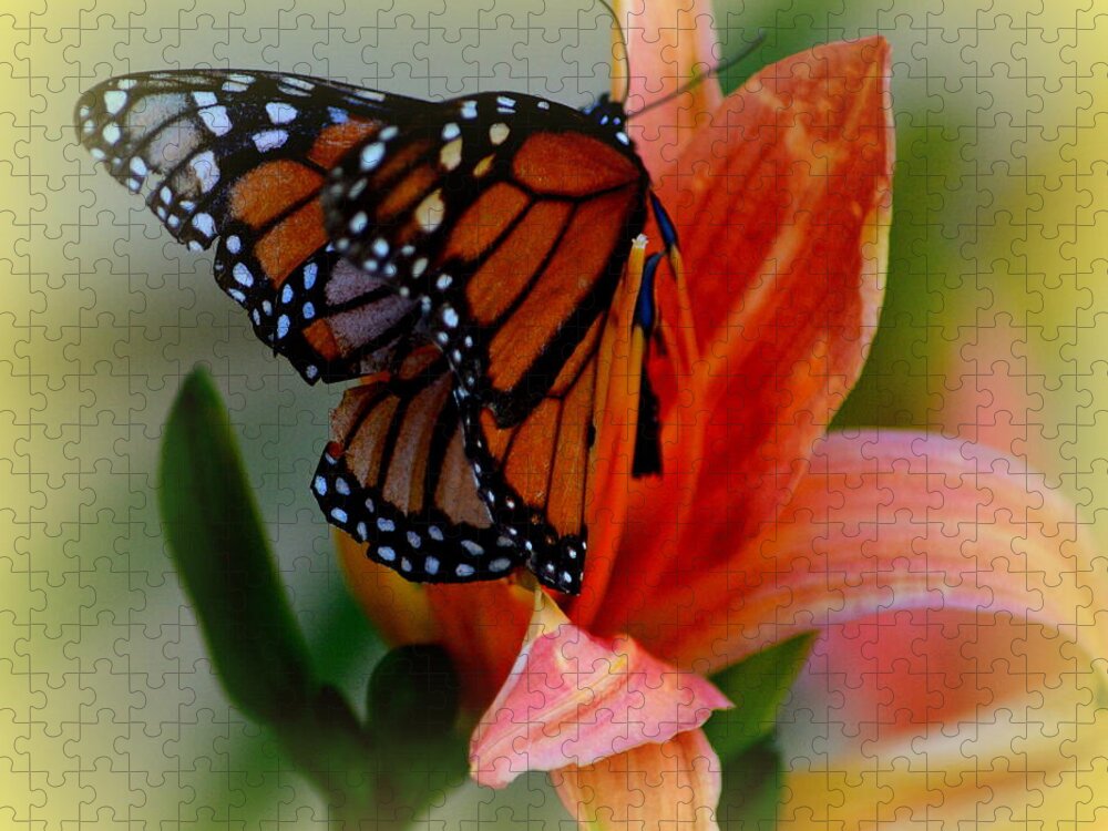 Tiger Lilly Jigsaw Puzzle featuring the photograph Mingle With A Monarch by Kimberly Woyak