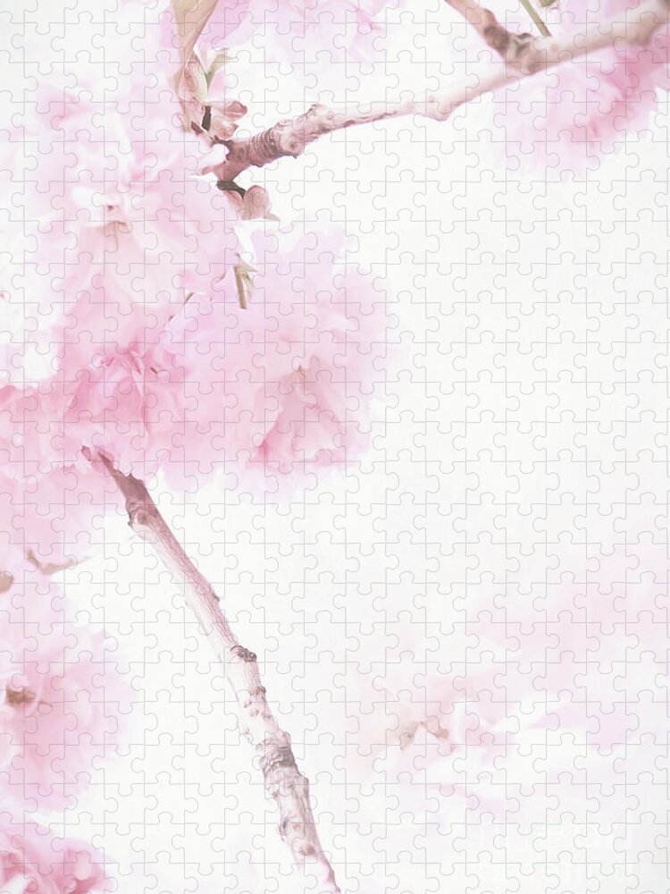 Cherry Blossoms Jigsaw Puzzle featuring the photograph Minimalist Cherry Blossoms by Anita Pollak