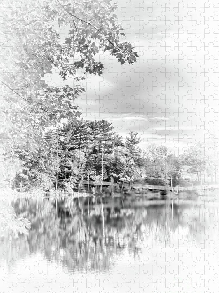 Mine Falls Park Jigsaw Puzzle featuring the photograph Minimalist Fall Scene in Black and White by Anita Pollak