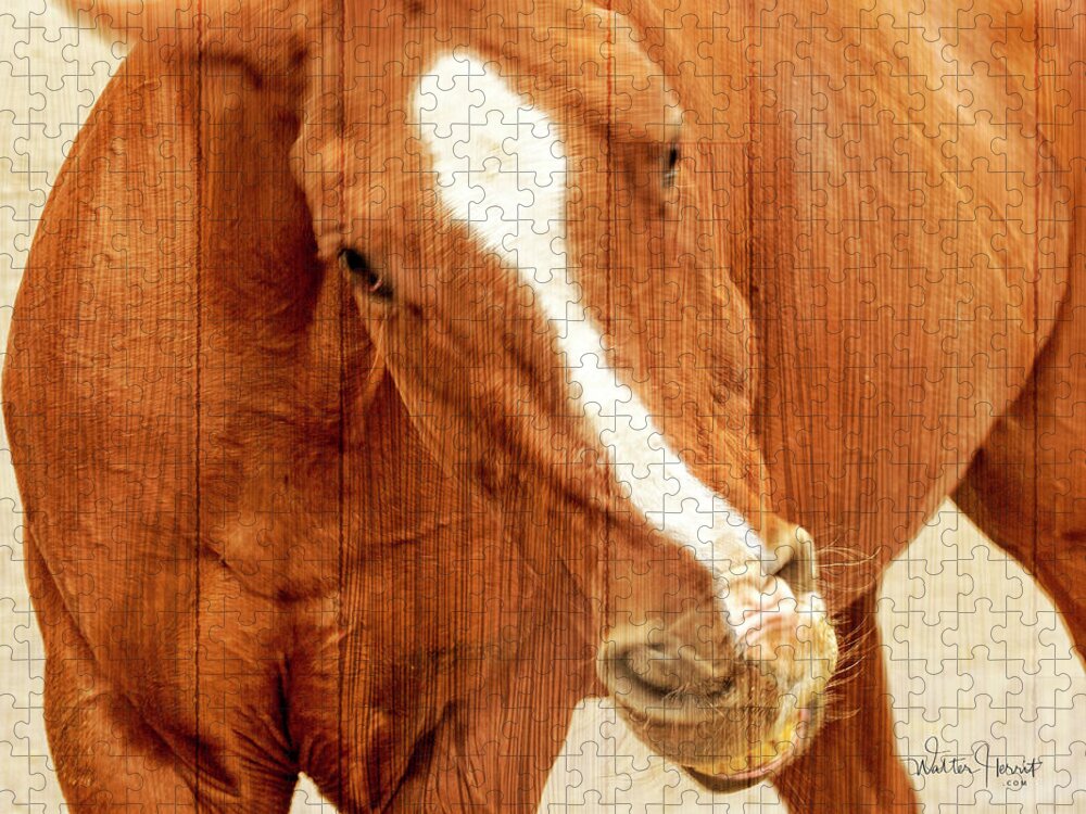 Horses Jigsaw Puzzle featuring the digital art Mischievous #2 of 2 by Walter Herrit