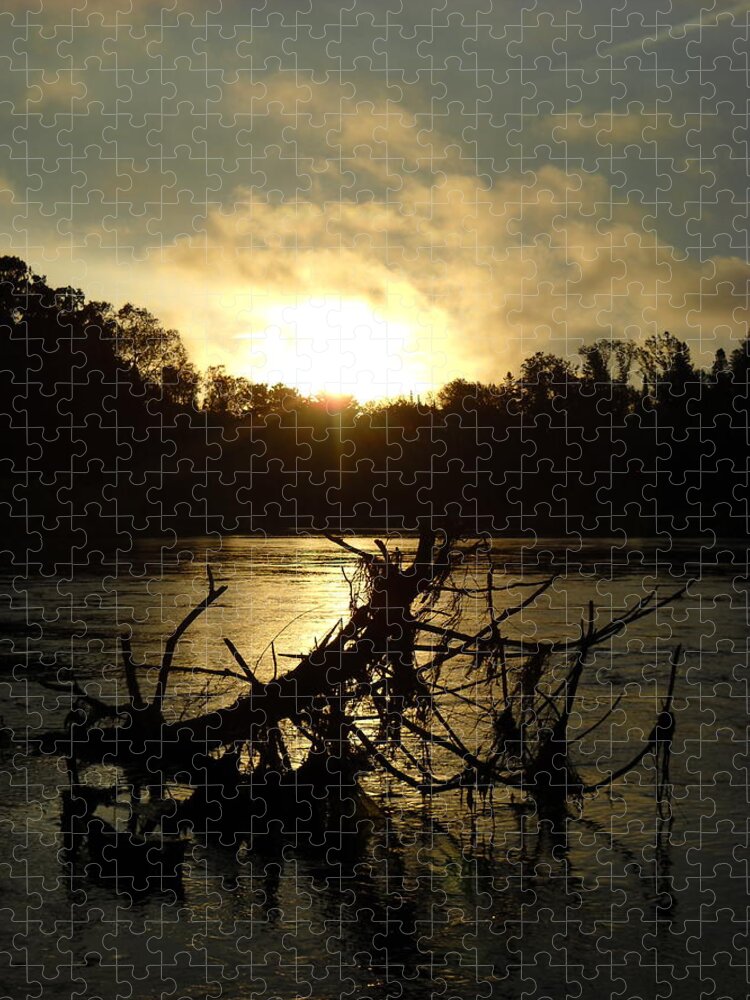Mississippi River Jigsaw Puzzle featuring the photograph Mississippi River Sunrise Tree Roots by Kent Lorentzen
