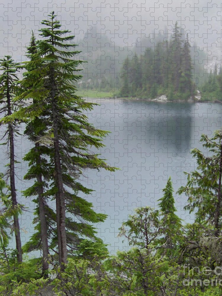 Mist Jigsaw Puzzle featuring the photograph Mist at Snow Lake by Charles Robinson