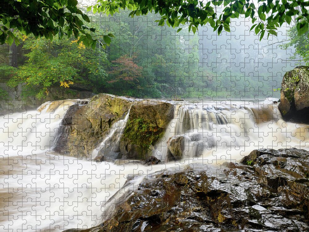 Chestnut Jigsaw Puzzle featuring the photograph Misty Creek by Michael Scott