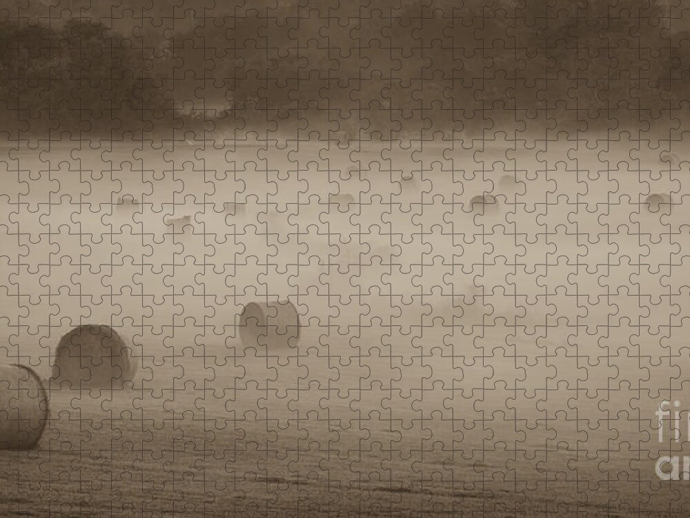 Misty Hay Bales Jigsaw Puzzle featuring the photograph Misty Hay Bales by Tamara Becker