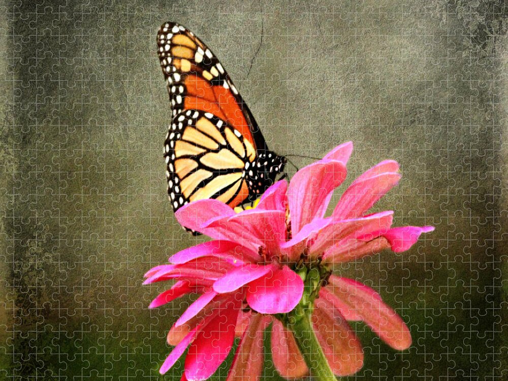 Butterfly Jigsaw Puzzle featuring the photograph Monarch Butterfly and Pink Zinnia by Judy Palkimas