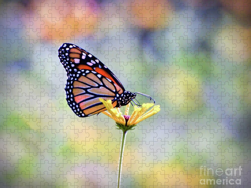 Monarch Butterfly Jigsaw Puzzle featuring the photograph Monarch Butterfly - In The Garden by Kerri Farley