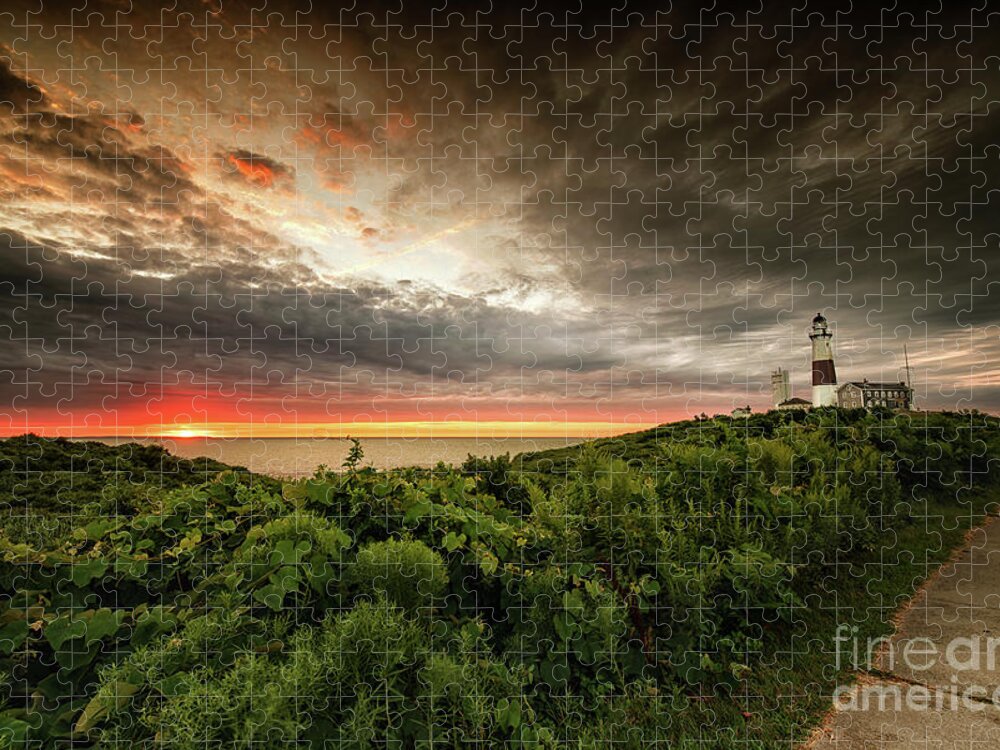 Stary Jigsaw Puzzle featuring the photograph Montauk Sunrise by Alissa Beth Photography