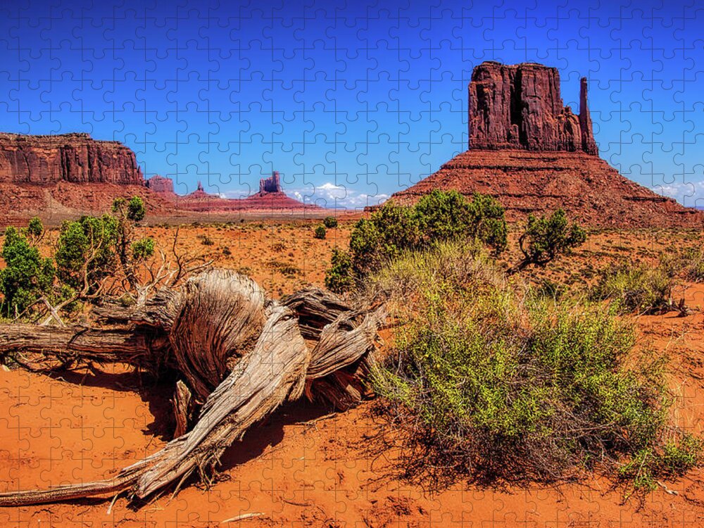 Monument Valley Desert Jigsaw Puzzle featuring the photograph Monument Valley Desert by Carolyn Derstine