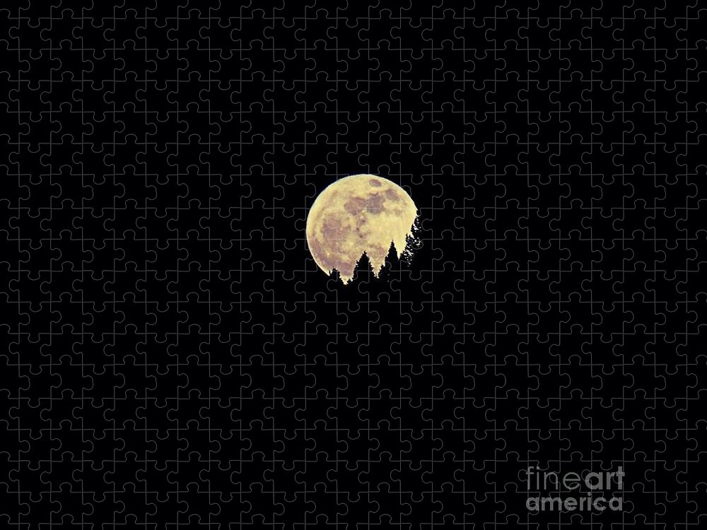Full Moon Jigsaw Puzzle featuring the photograph Moon Rising by Ann E Robson