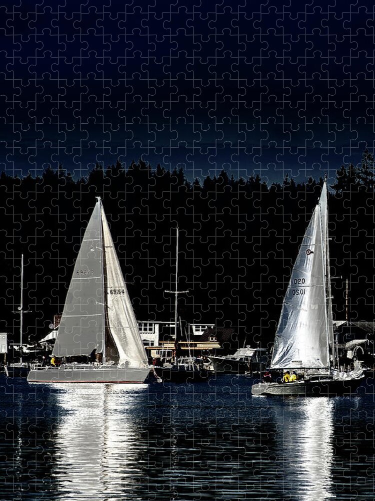 Moonlight Sailing Jigsaw Puzzle featuring the photograph Moonlight Sailing by David Patterson