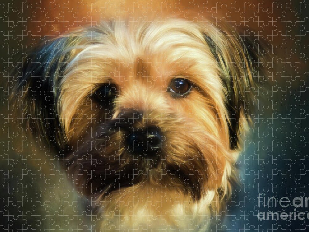 Morkie Jigsaw Puzzle featuring the photograph Morkie Portrait by Eleanor Abramson