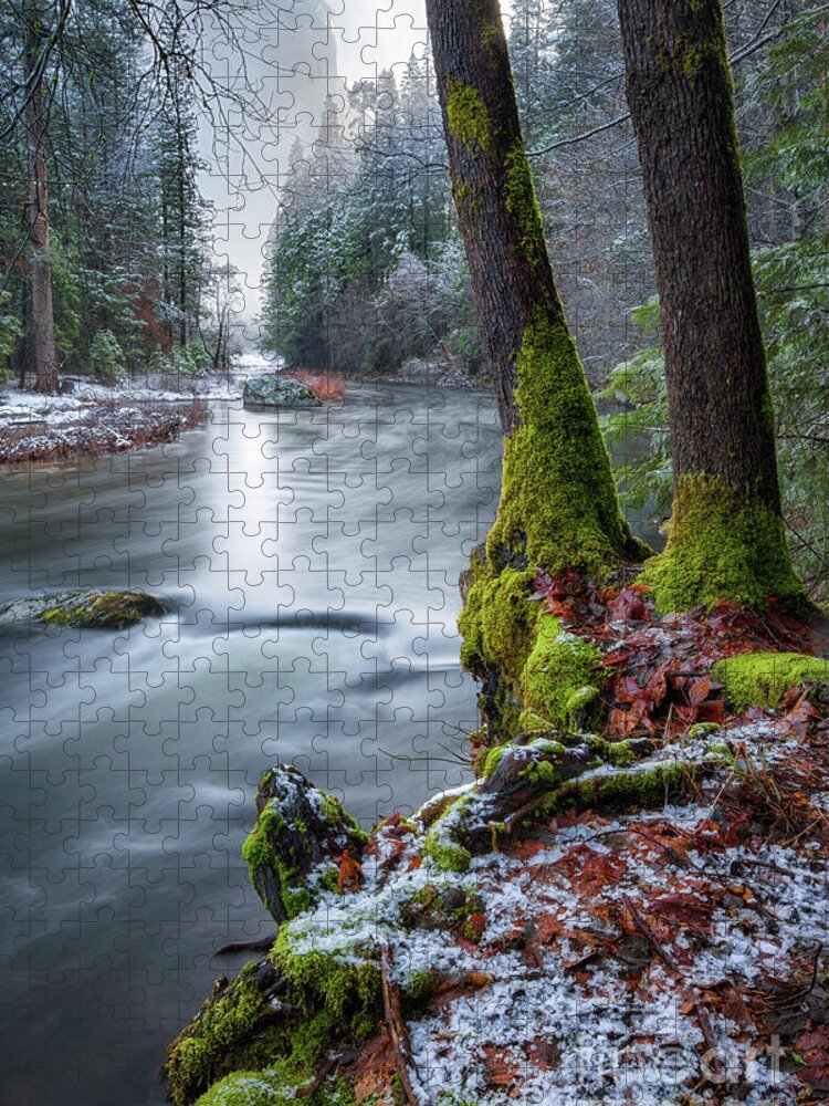 Yosemite Jigsaw Puzzle featuring the photograph Morning Calm by Anthony Michael Bonafede