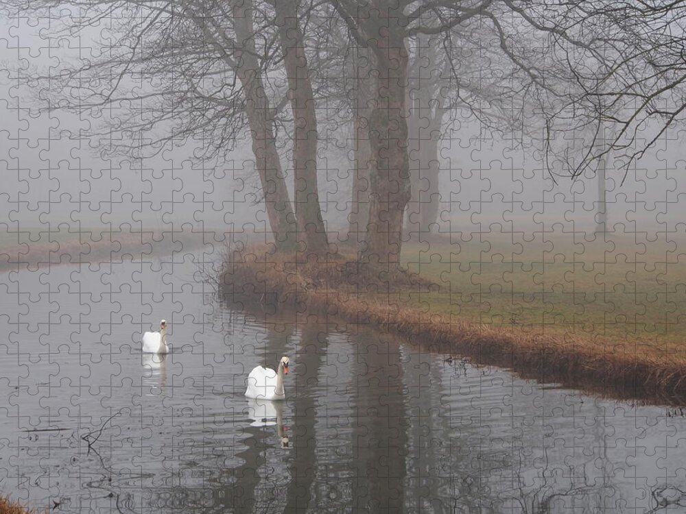 Swan Jigsaw Puzzle featuring the photograph Morning Cruise by Jessica Myscofski