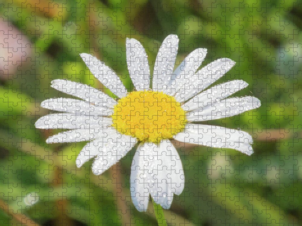 Flower Jigsaw Puzzle featuring the photograph Morning Dew by John Benedict