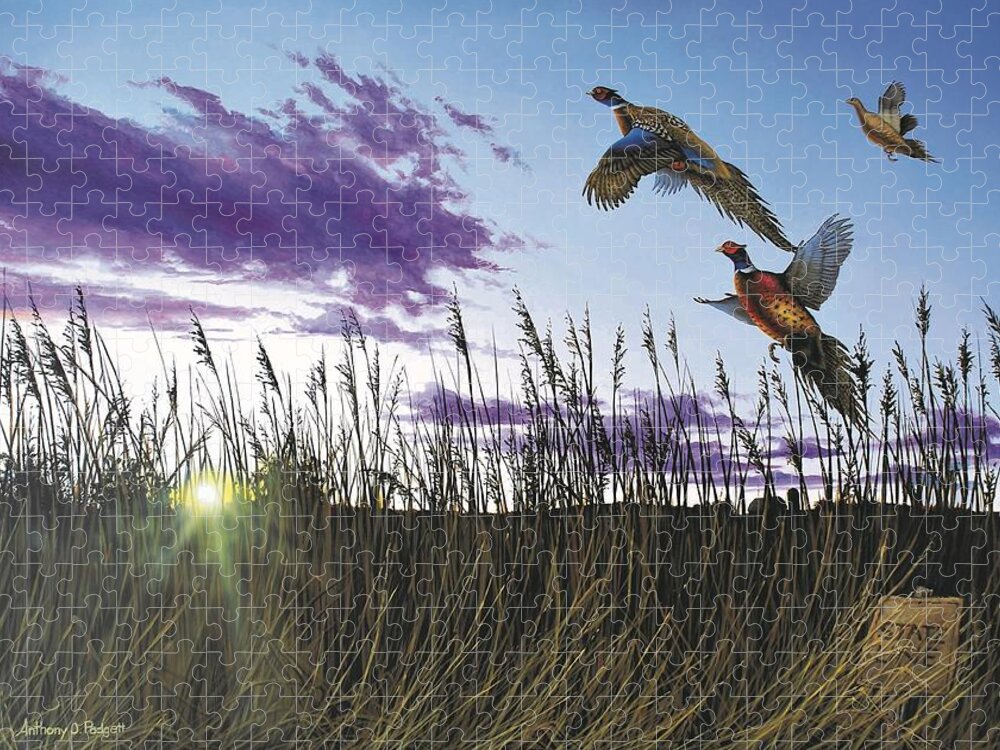 Pheasants Jigsaw Puzzle featuring the painting Morning Glory by Anthony J Padgett