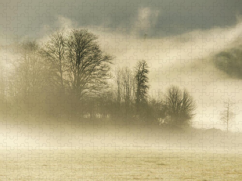 Fog Jigsaw Puzzle featuring the photograph Morning Mood 0741 by Kristina Rinell