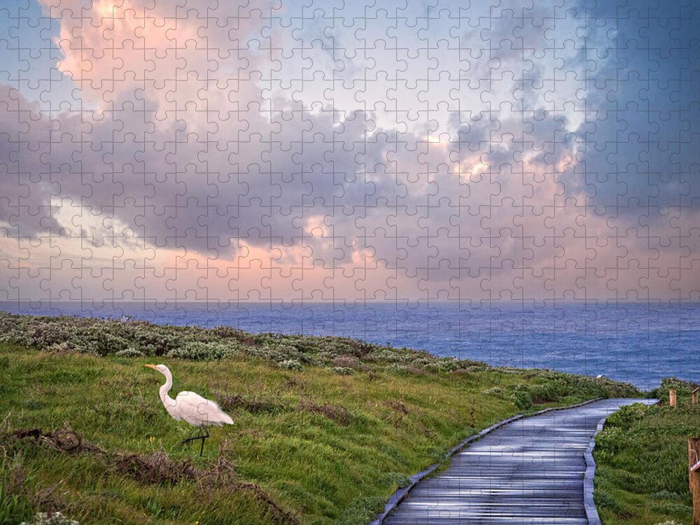 Sunrise Jigsaw Puzzle featuring the photograph Morning Run by Lynn Bauer