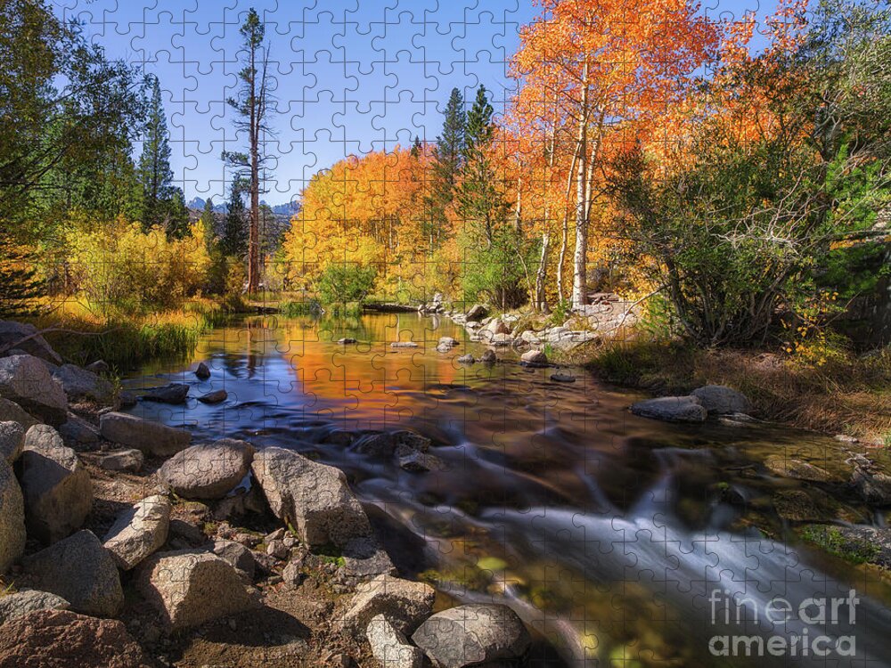 Aspen Jigsaw Puzzle featuring the photograph Morning Stream by Anthony Michael Bonafede