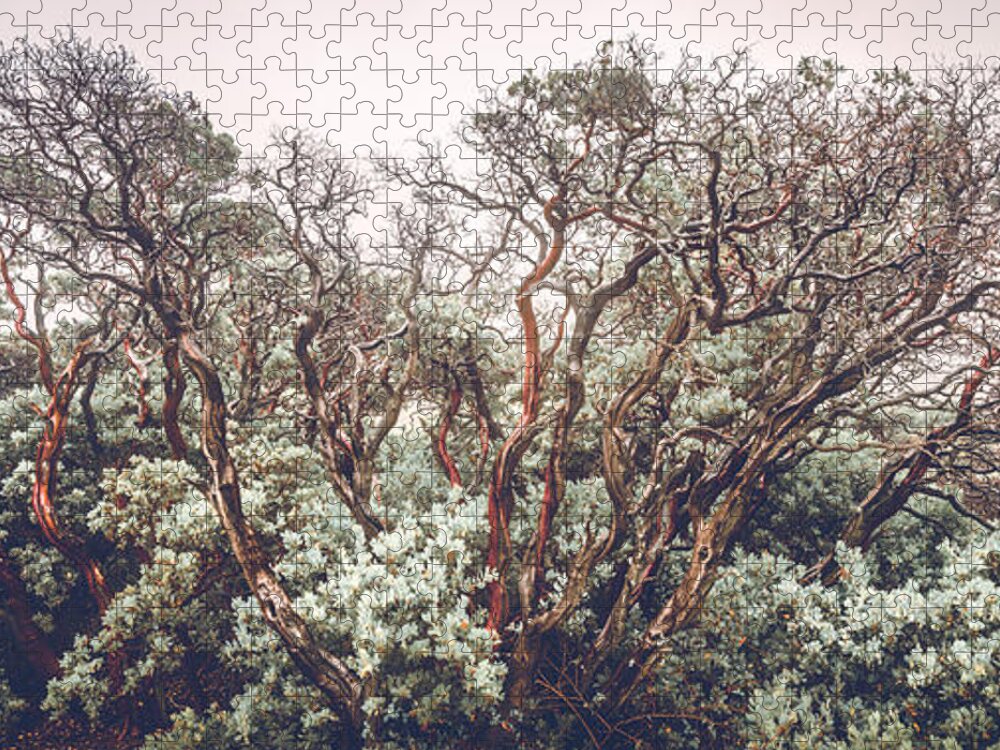 Arctostaphylos Jigsaw Puzzle featuring the photograph Mother Manzanita by Alexander Kunz