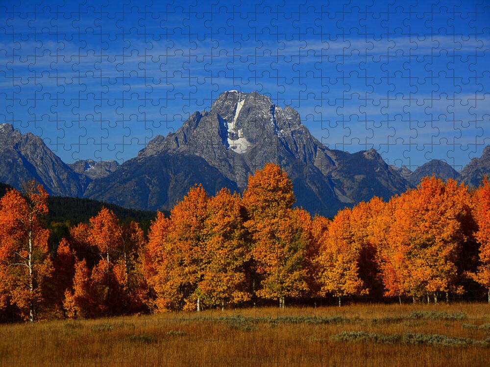 Mount Moran And Aspens Jigsaw Puzzle featuring the photograph Mount Moran and Aspens by Raymond Salani III