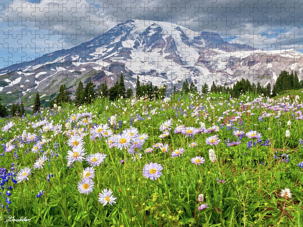 Alpine Jigsaw Puzzle featuring the photograph Mount Rainier and a Meadow of Aster by Jeff Goulden