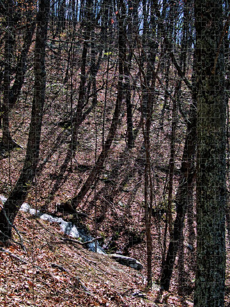 Creek Jigsaw Puzzle featuring the photograph Mountain Creek by George Taylor