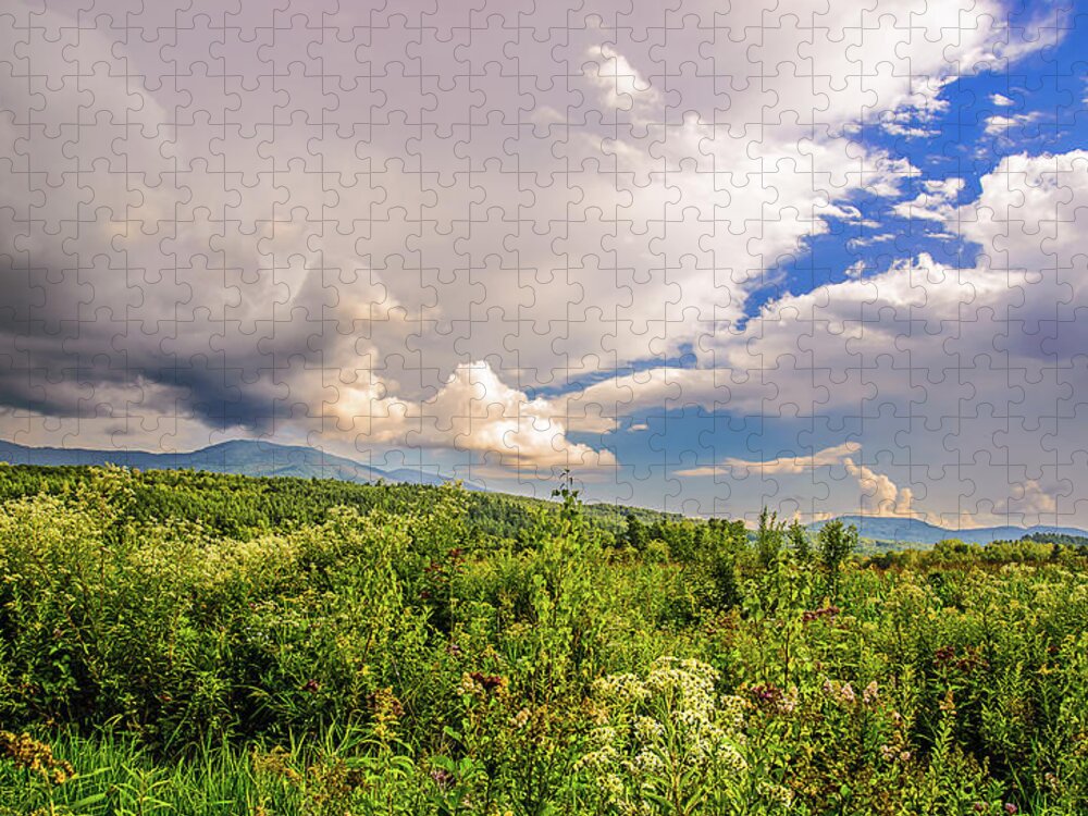 Landscape Jigsaw Puzzle featuring the photograph Mountain Meadow by Robert Mitchell