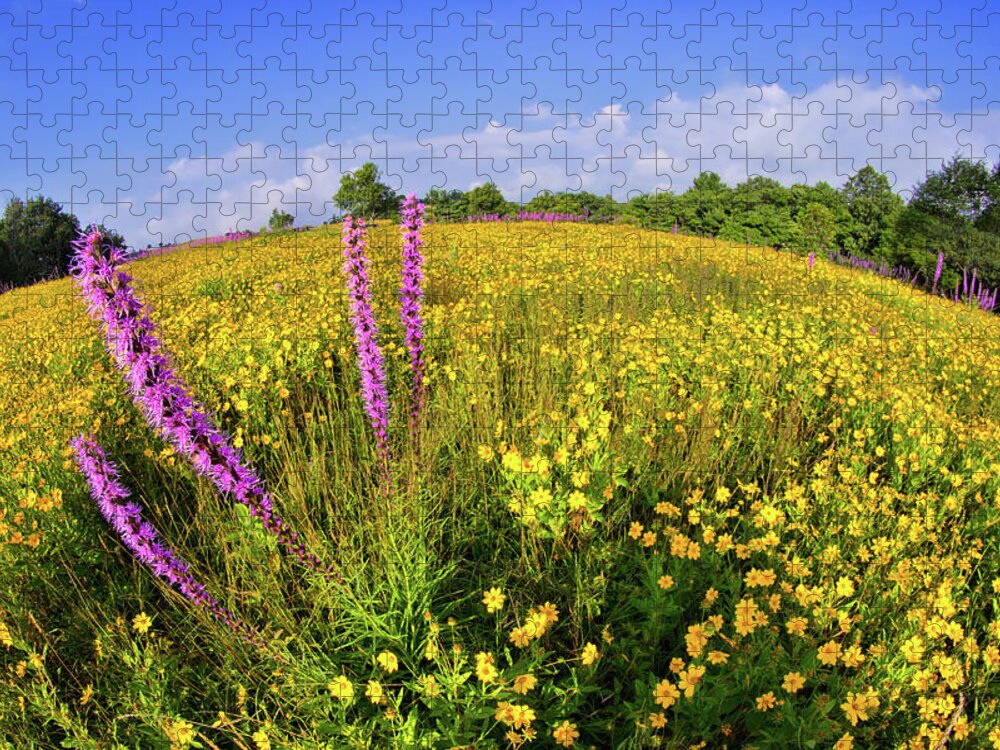 Blue Ridge Jigsaw Puzzle featuring the photograph Mountain Of Summer Flowers In The Blue Ridge by Dan Carmichael
