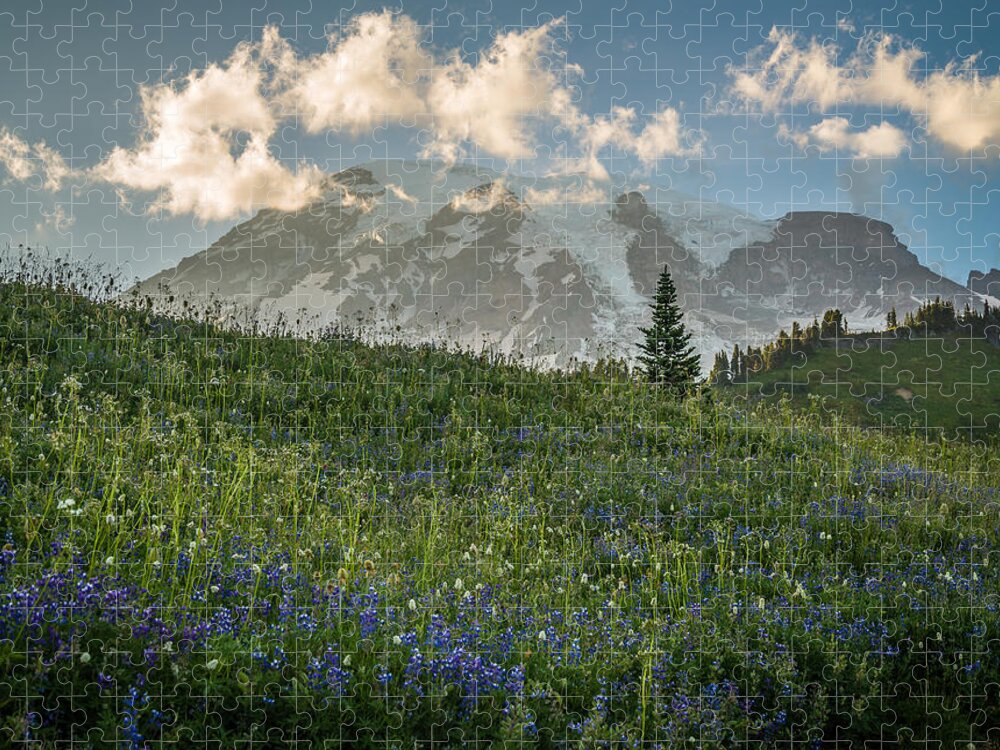 Mount Rainier Jigsaw Puzzle featuring the photograph Mountain Side by Kristopher Schoenleber