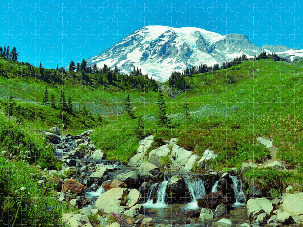Seattle Jigsaw Puzzle featuring the photograph Mt Rainier by Abhay P