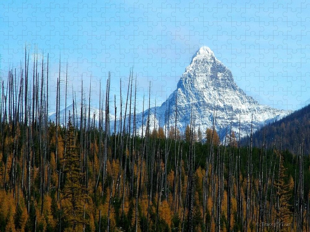 Fall Jigsaw Puzzle featuring the photograph Mt St Nicolas After the Fire by Tracey Vivar