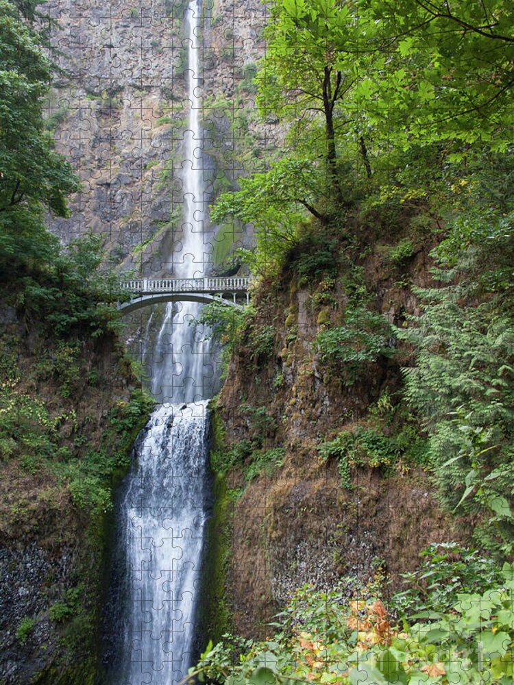 Wingsdomain Jigsaw Puzzle featuring the photograph Multnomah Falls in the Columbia River Gorge in Oregon 5d3554 by Wingsdomain Art and Photography
