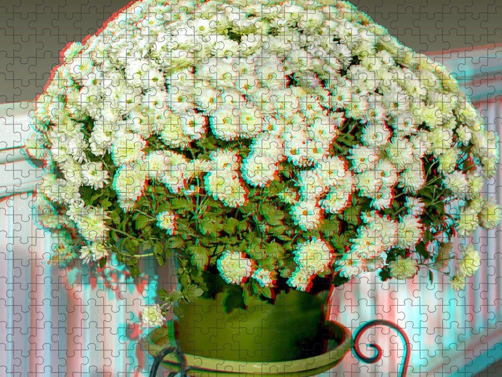 3d Jigsaw Puzzle featuring the photograph Mums On The Porch - Use Red-Cyan 3D Glasses by Brian Wallace