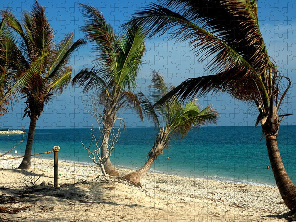 Photography Jigsaw Puzzle featuring the photograph My Favorite Beach by Susanne Van Hulst