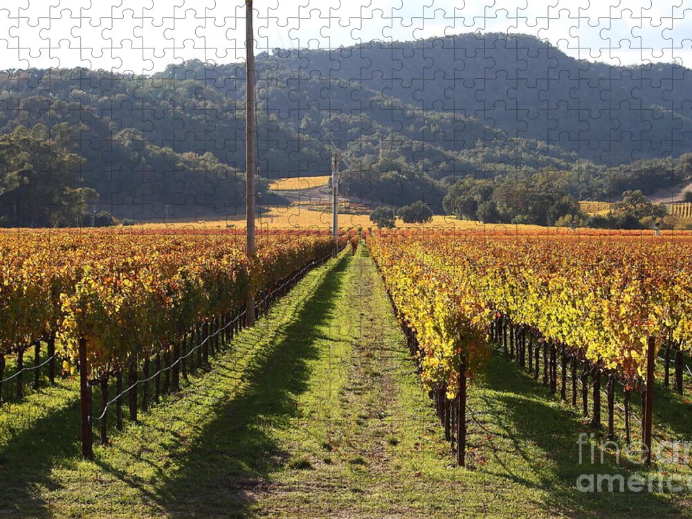 Napa Jigsaw Puzzle featuring the photograph Napa Valley Vineyard . 7D9020 by Wingsdomain Art and Photography