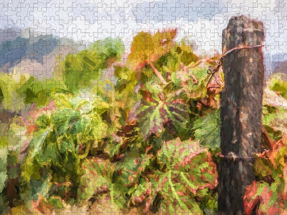 David Letts Jigsaw Puzzle featuring the painting Napa Vineyard by David Letts