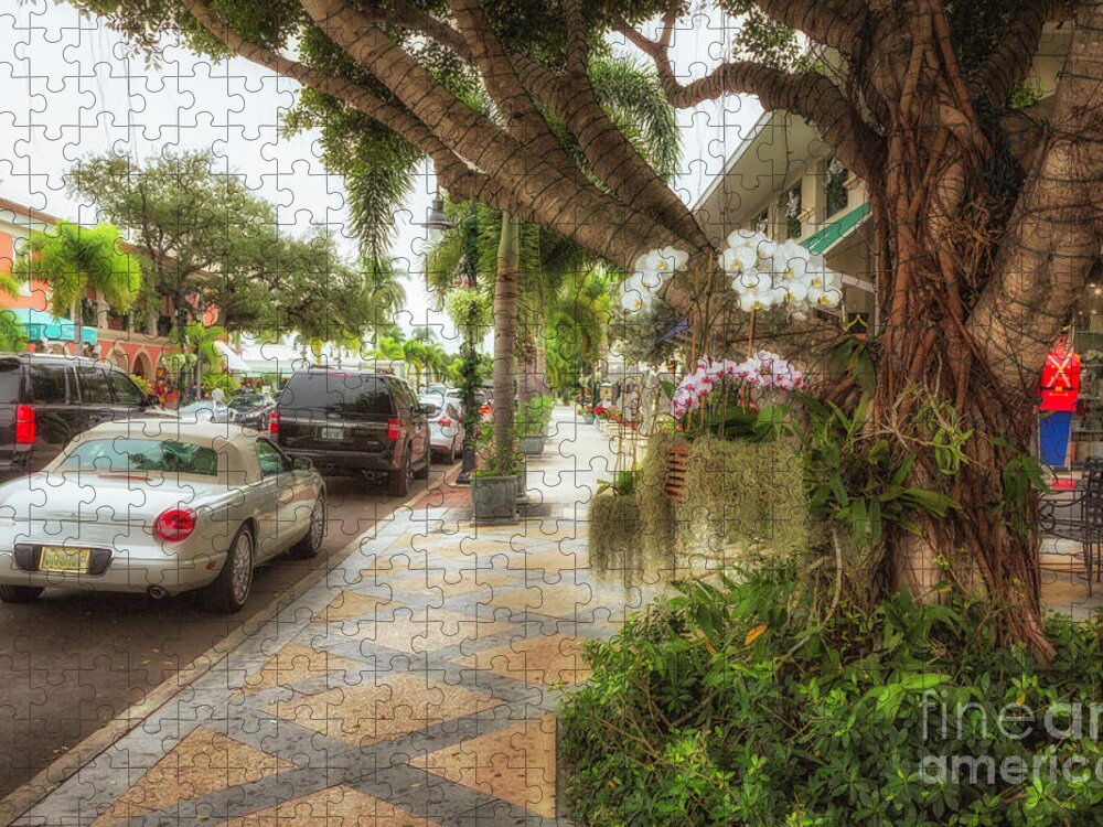 Florida Jigsaw Puzzle featuring the photograph Naples 6 by Timothy Hacker