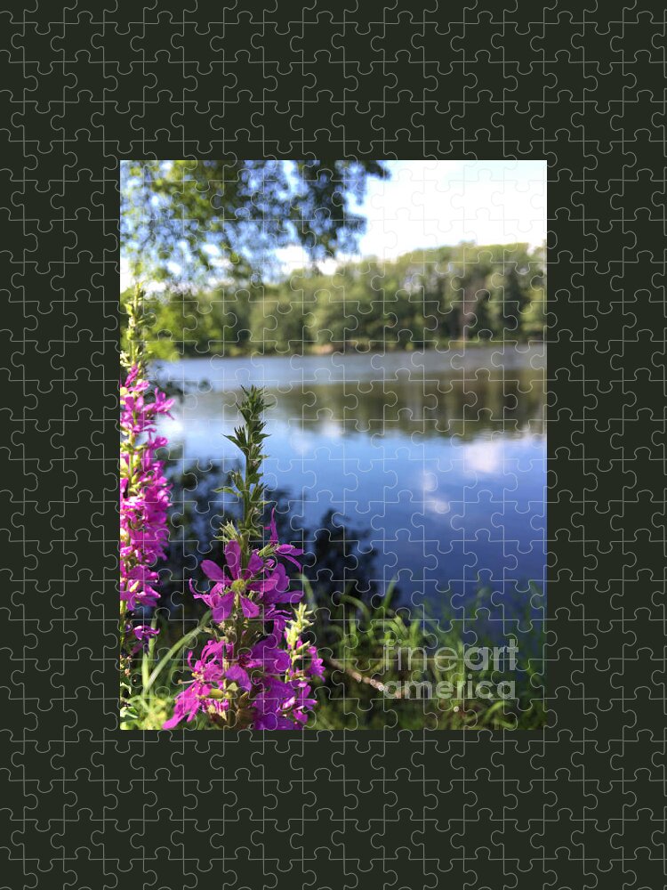 Flower Jigsaw Puzzle featuring the photograph Nature Channelling by Jason Nicholas
