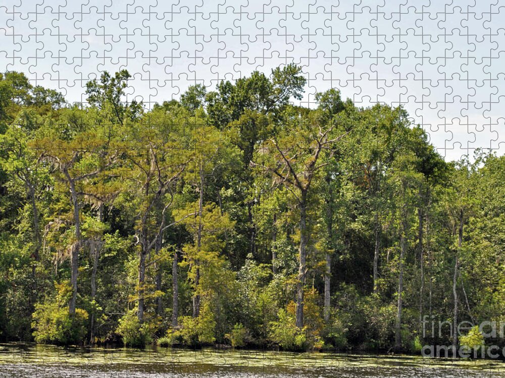 Nature Jigsaw Puzzle featuring the photograph Nature Ride 5 by Lydia Holly