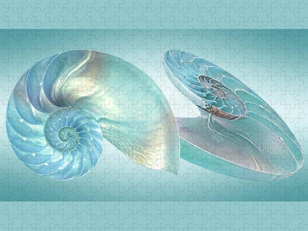 Nautilus Shell Jigsaw Puzzle featuring the photograph Nautilus Jewel Of The Sea by Gill Billington